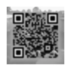 soft focus (blur 0.3 square) at 6px