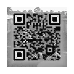 JPEG q45 at 6px